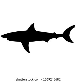 Vector Illustration Black Silhouette Shark Dogfish Stock Vector ...