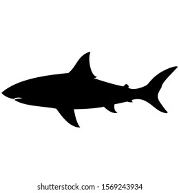 vector-graphic illustration of a shark in profile view, isolated on white background