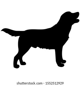 vector-graphic illustration, silhouette of a dog, isolated on white background