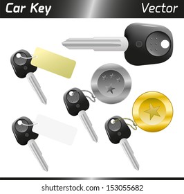 Vectorial car keys with key-holder and tag isolated on white background