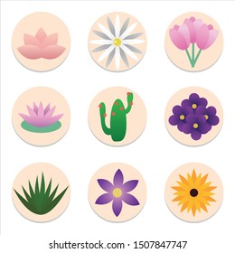 Vectorial, colorful flowers, cactus, desert, green, tulip, daisy, violet, purple, lily, water lily, spring, summer, sunflower.
