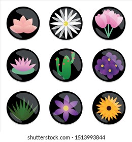Vectorial, colorful flowers, cactus, desert, green, tulip, daisy, violet, purple, lily, water lily, spring, summer, sunflower.