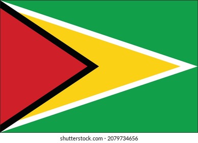 vectorial flag of guyana with clean background
