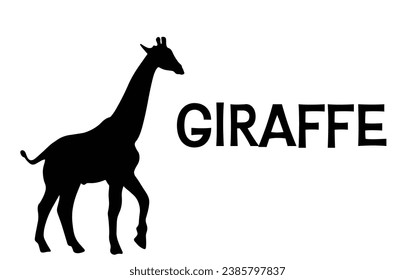 Vectorial giraffe silhouette drawing and text