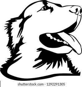 Vectorial golden retriever dog face in black.