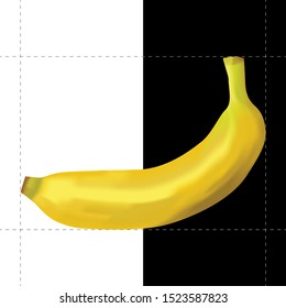 Vectorial object, Sweet Banana look real and delicious.