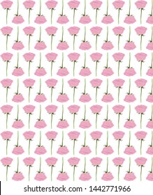 Vectorial pink roses are available for background