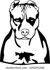 Vectorial pitbull dog face in black.