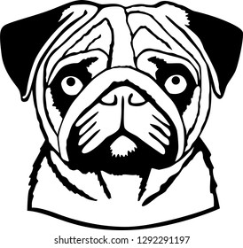 Vectorial pug dog face in black.