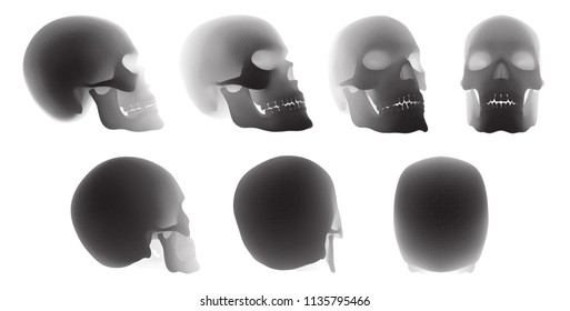 vectorial set of human skulls with square and triangular polygons.