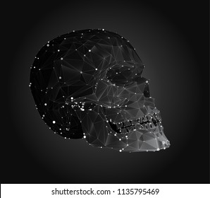 vectorial set of human skulls with square and triangular polygons.