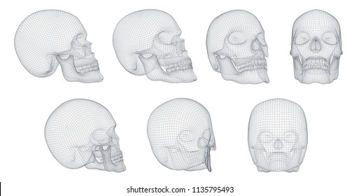 vectorial set of human skulls with square and triangular polygons.