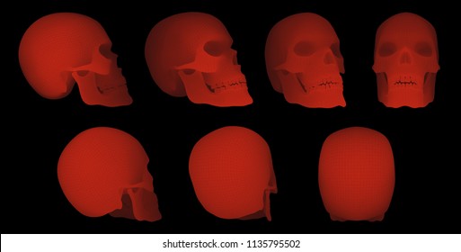 vectorial set of human skulls with square and triangular polygons.