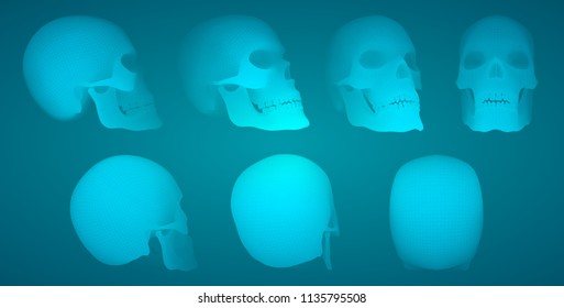 vectorial set of human skulls with square and triangular polygons.
