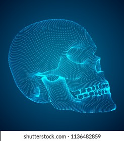 vectorial set of human skulls with square and triangular polygons.