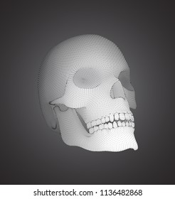 vectorial set of human skulls with square and triangular polygons.