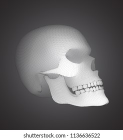 vectorial set of human skulls with square and triangular polygons.