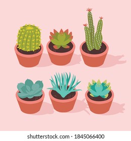 vectorial simple illustrations of cactus and succulents