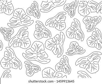 Vectorial tropical hand draw leaves patterns