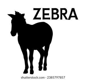 Vectorial zebra silhouette drawing and text