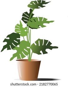 vectorielle pot plante house decor