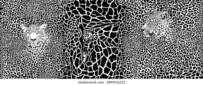 vectorillustration pattern background background with leopards and giraffe