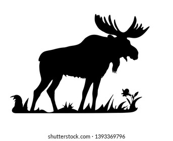 Vector-isolated black silhouette of one moose on white background