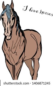 vector-isolated color drawing of one brown horse on white background and lettering
