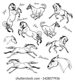 vector-isolated on a white background black-and-white contour drawings of several galloping horses, set