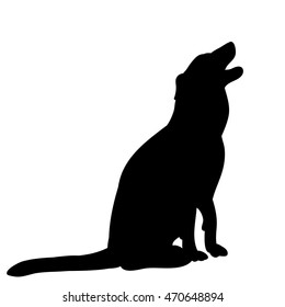 vector,isolated on a white background,the silhouette of a dog sitting