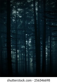 Vectorized background image of a dark mysterious forest.