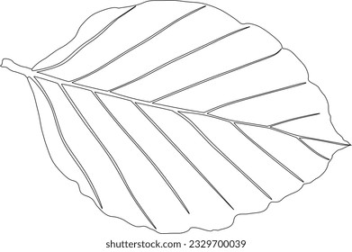 Vectorized birch leaf with only strokes left.