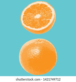 Vectorized detailed image of an orange.