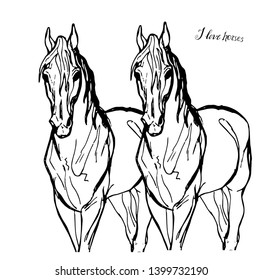 vectorized drawing of a pair of white horses in full face on  white background and lettering  
