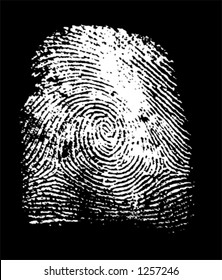 vectorized fingerprint in negative (the white part is transparent, you can change the color of the black part, and see thru to fingerprint)