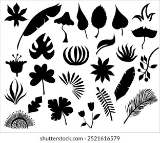 A vectorized illustration featuring separate silhouettes of various plants and leaves in black. This minimalist and elegant design showcases the beauty of nature through simple and detailed botanical 