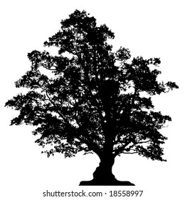 Vectorized oak tree