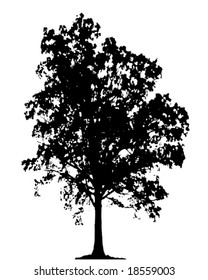 Vectorized oak tree