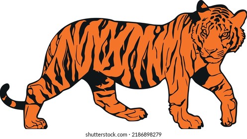 Vektorisierter Tiger auf Orange und Schwarz