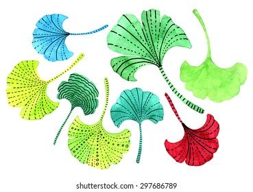 Vectorized watercolor hand drawing - leaf of Ginkgo biloba
