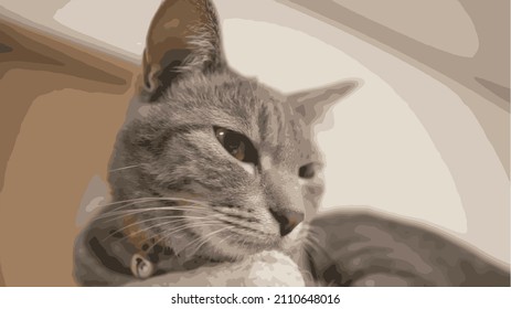 Vectorizer close up of a cute cat.