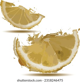 vector,Lemon sliced vintage illustration , isolated on a white background.