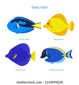Vector-Regal tang, Yellow tang, Purple tang and Powder blue tang fish on isolated white background