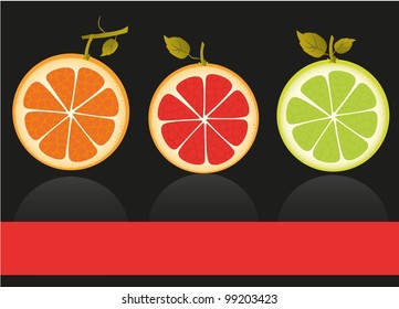 vectors of citrus fruits, contains orange, lemon and grapefruit