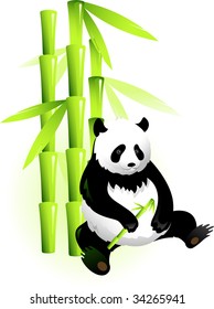 Vectors panda and bamboo. Isolated on white