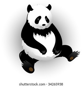 Vectors panda. Isolated on white