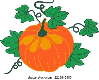 vectors of the present fresh orange pumpkin
