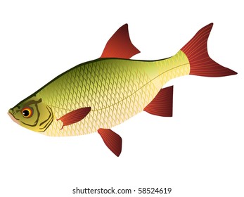 vectors redeyes