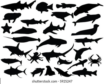 Vectors Silhouette Of Sea Creatures