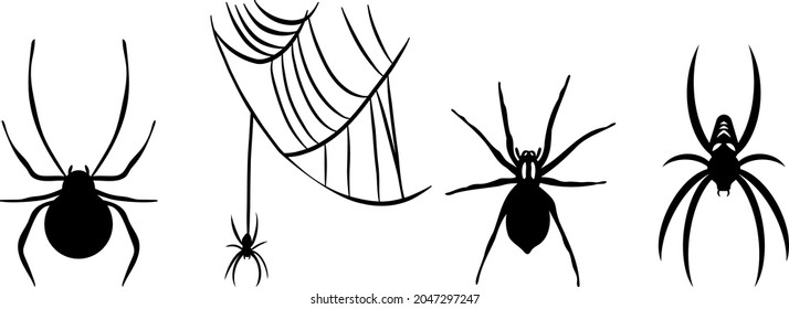 Vectors of the spiders - Spiderweb